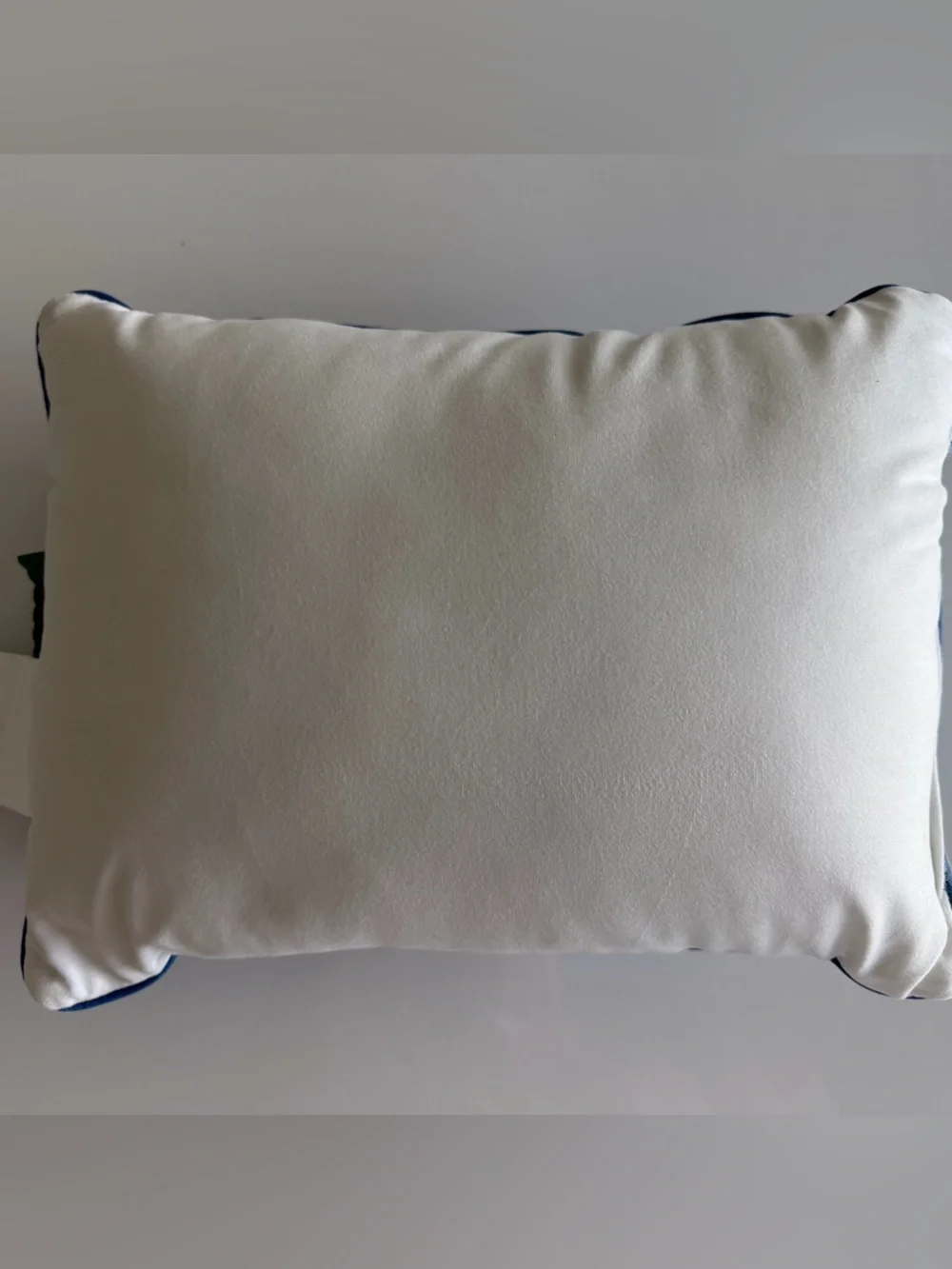 NWT Needlepoint “Book was Better” pillow 16x12 - Picture 3 of 4